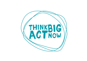 Think Big Act Now