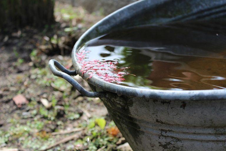 regenwater in de tuin