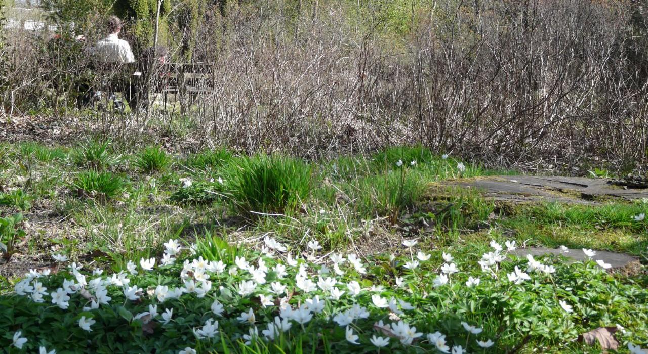 natuur rondom arnhem