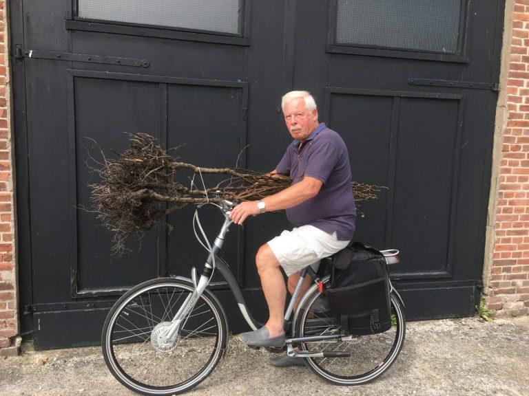 perenboom op fiets