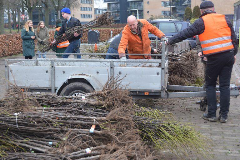 foto perenboomactie Deventer - fotograaf Bert Theelen