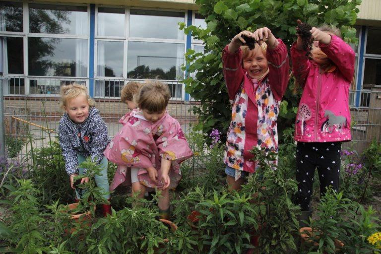 groen schoolplein