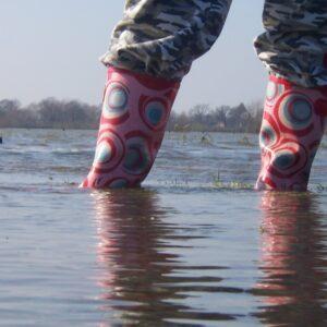 hoog water in IJssel 1