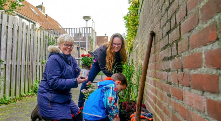 je-straat-vergroenen-zo-doe-je-dat