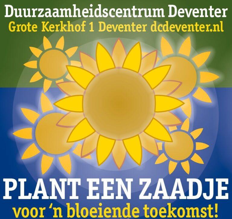 zonnebloem deventer