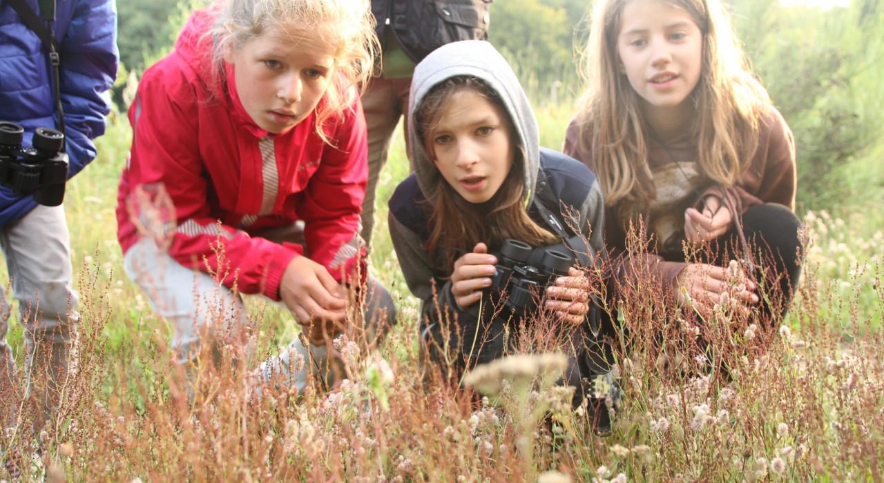 natuuronderzoekskamp