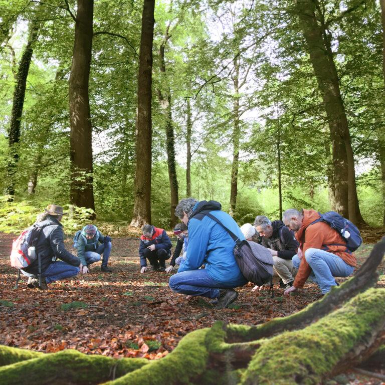 het-onzichtbare-bos