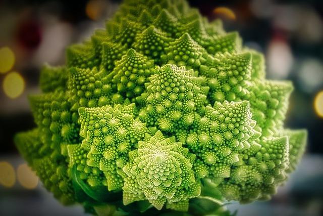 romanesco