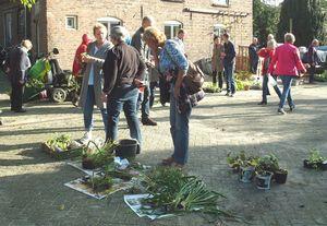 Plantenruilbeurs