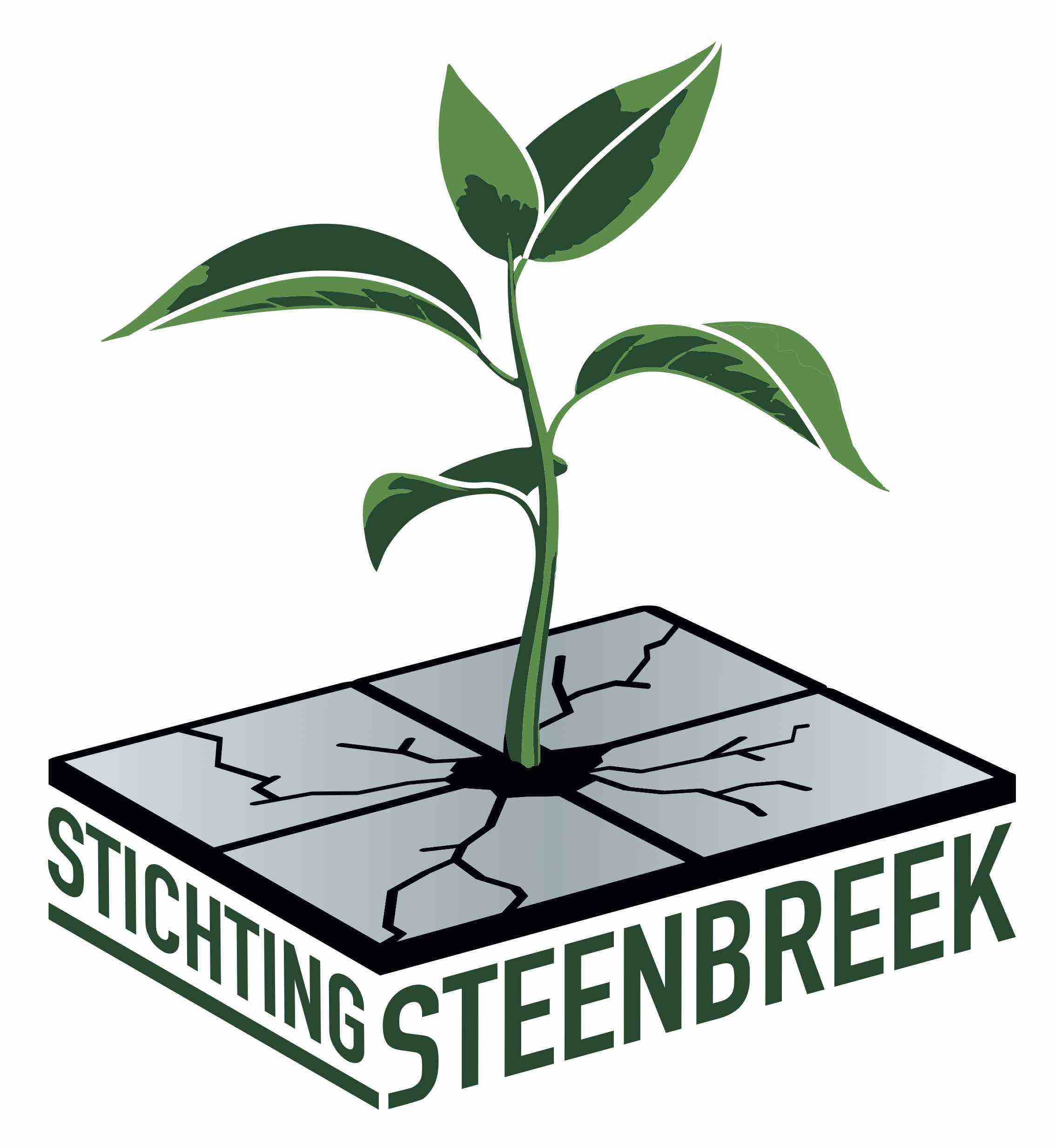 Stichting Steenbreek