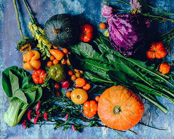 herfstmarkt oorsprong schalkhaar web