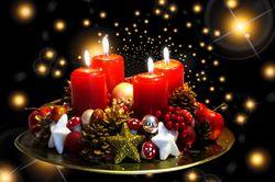 Kerstworkshop Deventer Groei