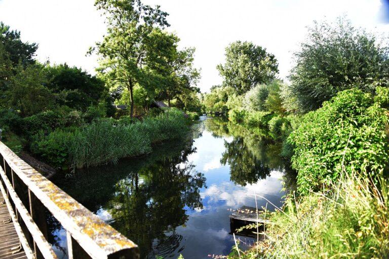 DCDeventer Lezing natuurwaardenkaart Diepenveen Foto van Ali den Boer via dorpspleindiepenveen.nl