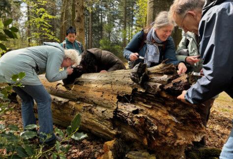 DCDeventer Natuurfoto van wandeling Foto via Het Onzichtbare Bos