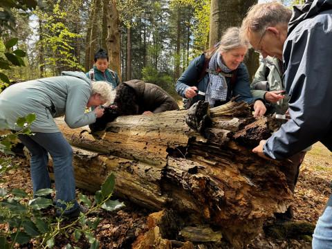 DCDeventer Natuurfoto van wandeling Foto via Het Onzichtbare Bos