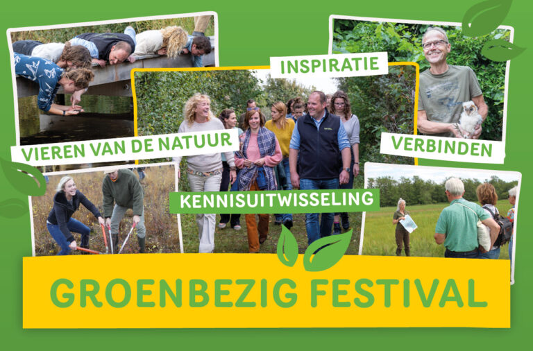 DCDeventer Flyer Groenbezig festival 2024 Via groenbezig