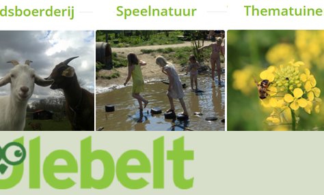 ulebelt nw
