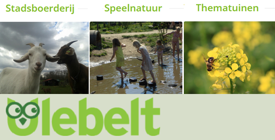 ulebelt nw