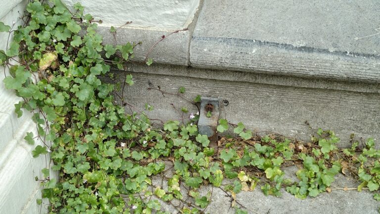 GR Natuurlijke grenzen