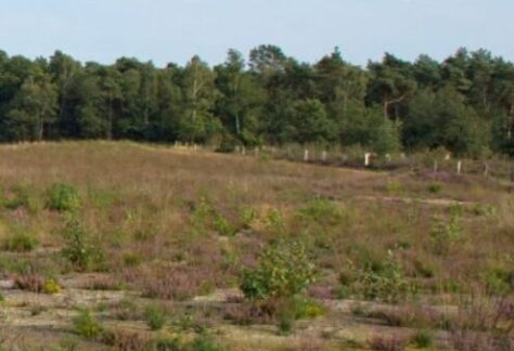 gorsselse heide