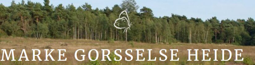 Marke Gorsselse heide