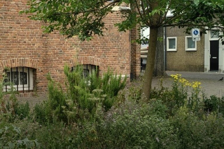 stadswandeling