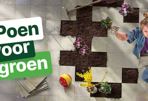 poen voor groen