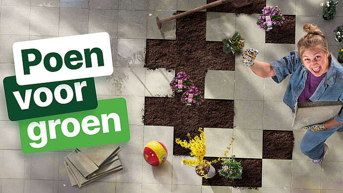 poen voor groen