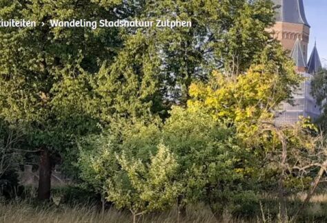 wandeling zutphen