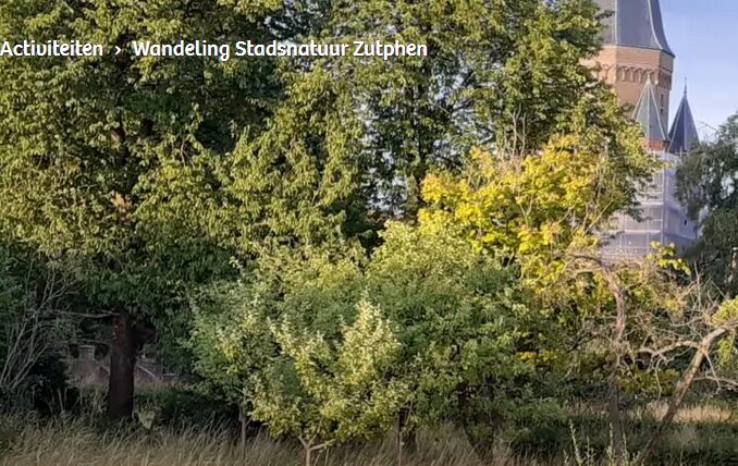 wandeling zutphen