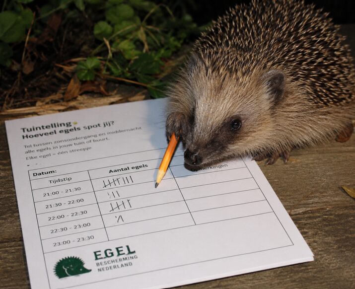 egel telling