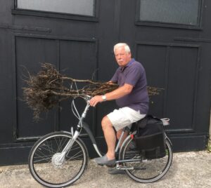 perenboom op fiets