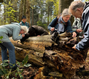 DCDeventer Natuurfoto van wandeling Foto via Het Onzichtbare Bos mec thumb 300 268