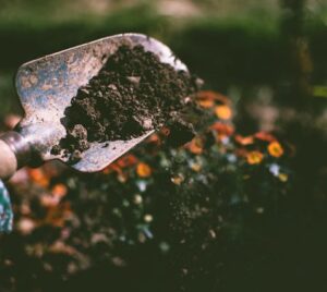 DCDeventer tuinieren tuin schepje zand Foto van Lisa Fotios via pexels.com mec thumb 300 268