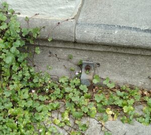 GR Natuurlijke grenzen mec thumb 300 268