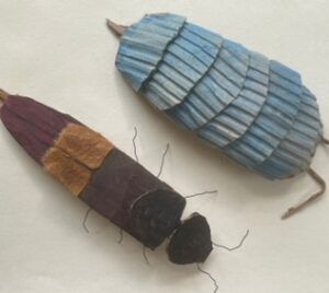 afvalbeestjes educatie mec thumb 300 268