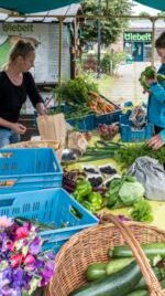 boerderijwinkel mec thumb 300 268