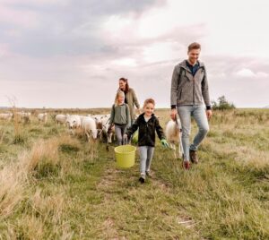 clean up mec thumb 300 268