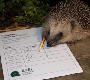 egel telling mec thumb 300 268
