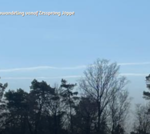 joppe mec thumb 300 268