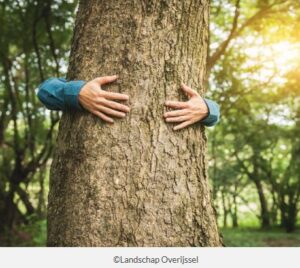 koop een stuk natuur mec thumb 300 268