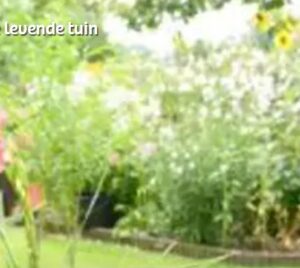 levende tuin