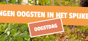 oogstdag spijkerbosje mec thumb 300 268