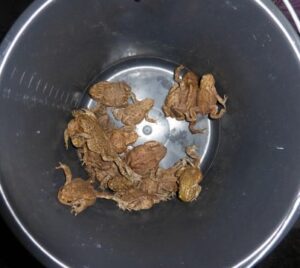 paddentrek mec thumb 300 268