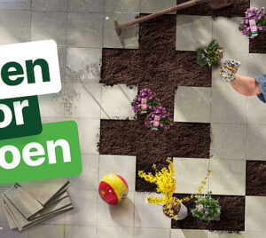 poen voor groen mec thumb 300 268