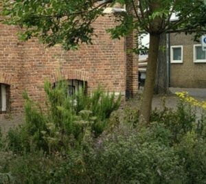 stadswandeling mec thumb 300 268