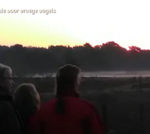 vroege vogels mec thumb 300 268