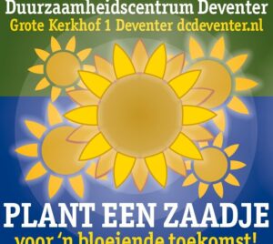 zonnebloem deventer